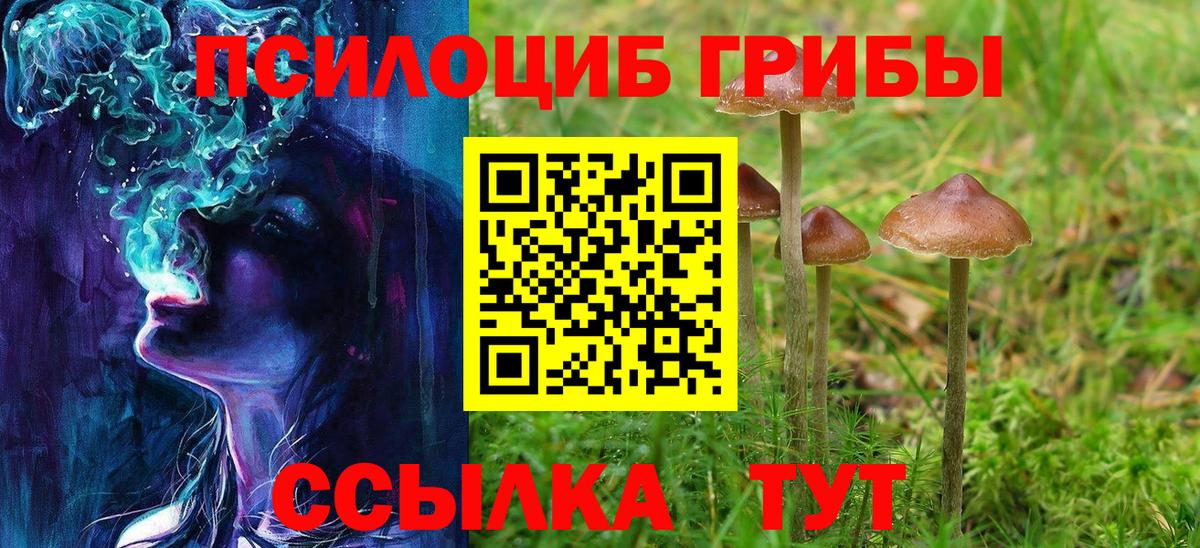 наркошоп  Галлюциногенные грибы Magic Shrooms  Кириши  Вход с VPN  Псилоцибиновые грибы Psilocybe 